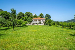 House Gorica